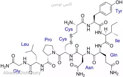 اکسی توسین